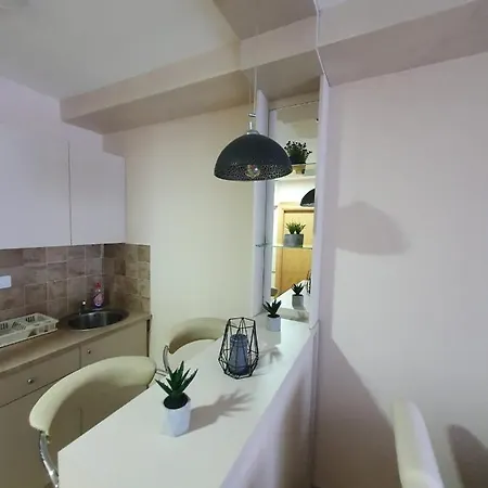 Planinski San 公寓 兹拉蒂博尔