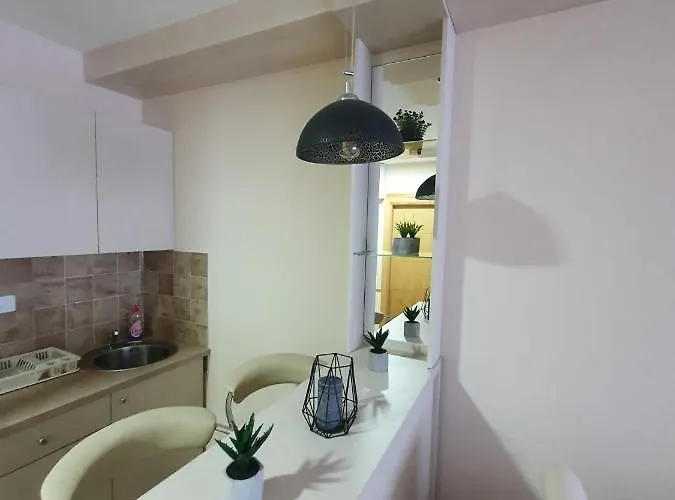 Planinski San Daire Zlatibor